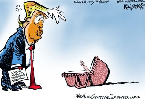 Birthright Citizenship by Milt Priggee, WeAreGettingScrewed.org
