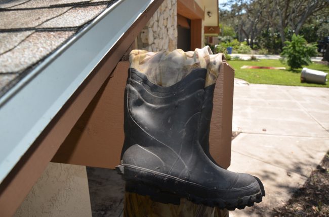 Boots on South Flagler Avenue. Click on the image for larger view. (c FlaglerLive)