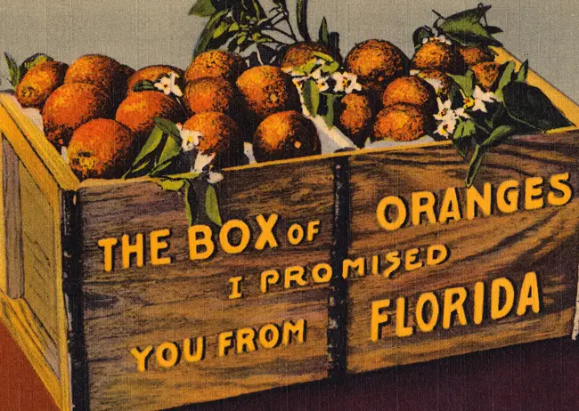 florida citrus lost history