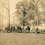 African American boys with mules at the School for Boys in Marianna, Florida.