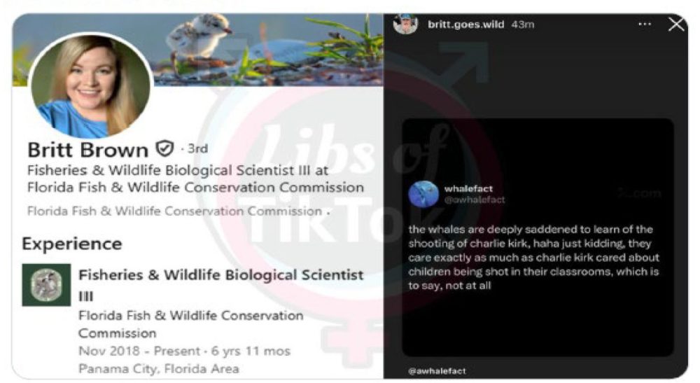 The "Libs of TikTok" posting that apparently led to the firing of FWC employee Brittany Brown, as imaged in the lawsuit she filed. 