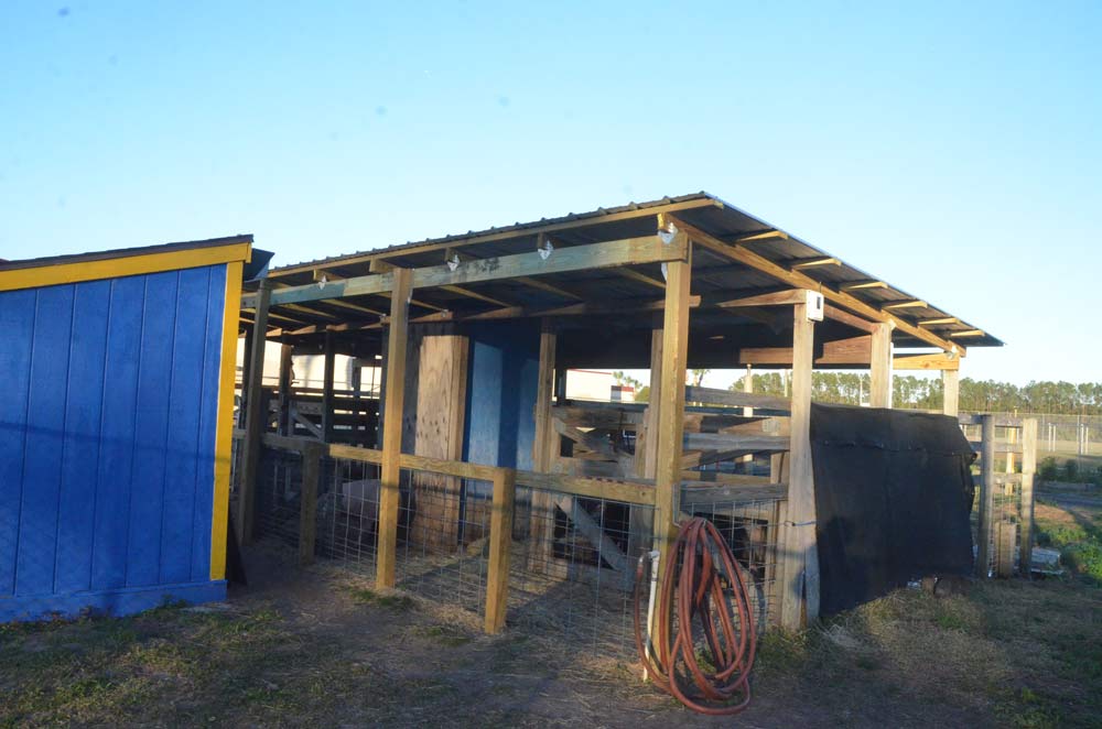 A section of the farm at Buddy Taylor Middle School. (© FlaglerLive)