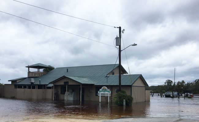 Beloved Bull Creek Fish Camp by Dead Lake on the west side was under water this morning. (c FlaglerLive)