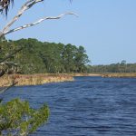 Bulow Creek. (Wikimedia Commons)