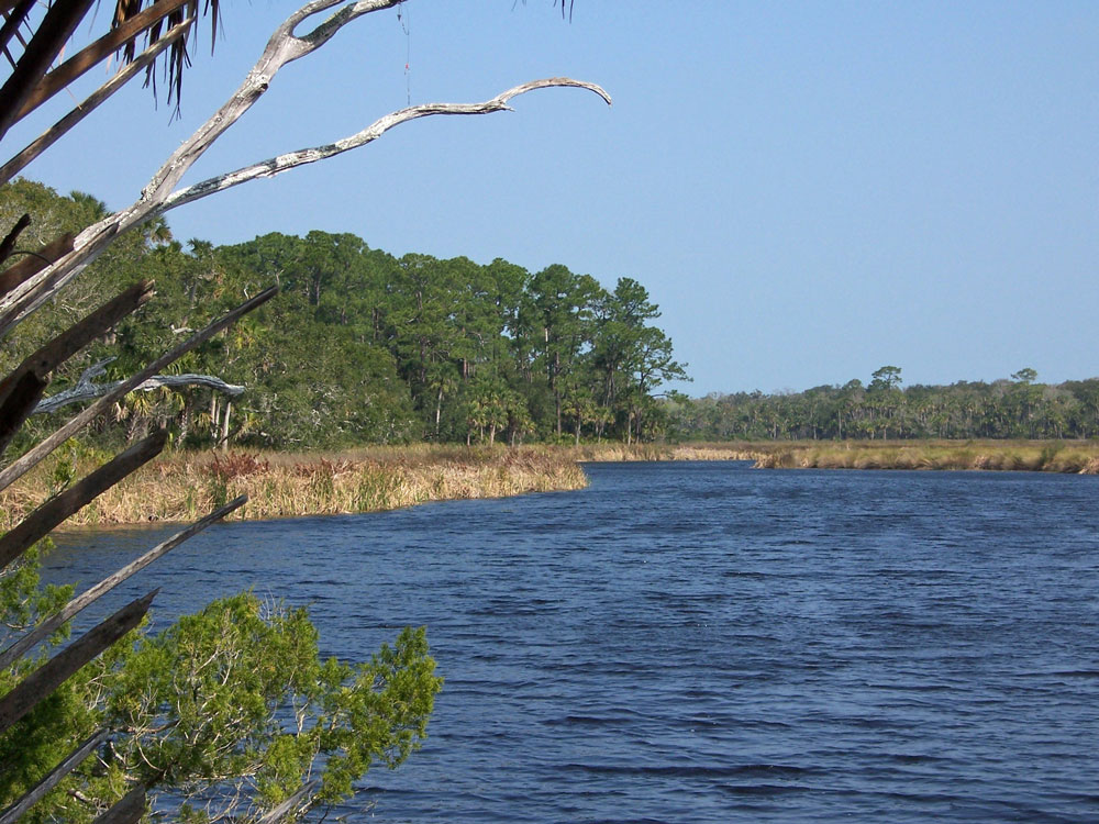 Bulow Creek. (Wikimedia Commons)