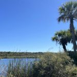 A good place for a kayak launch? The proposed location for one near the headwaters of Bulow Creek.