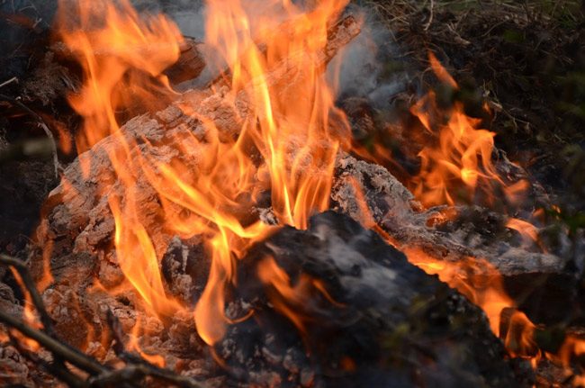 flagler county burn ban 2017