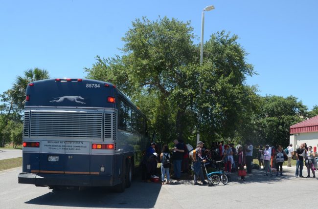 greyhound bus crash