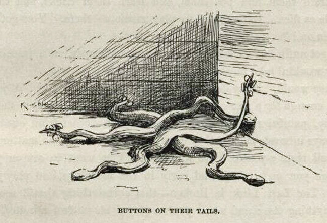 Tiger Frightened by a Snake, 1858 (pen & ink on tracing)