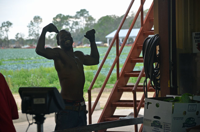 A cabbage-packer at Flagler County's Hollar & Greene packing plant. (© FlaglerLive)