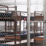 A cage at the Everglades migrant lock-up the state calls Alligator Alcatraz. (White House)