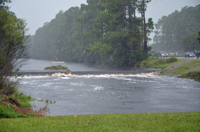 The canal at Pine Lakes and Belle Terre Parkway. Click on the image for larger view. (© FlaglerLive)