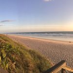 Canaveral National Seashore offers the longest stretch of undeveloped Atlantic beach in Florida. Space X wants to close it for at least two months a year and maybe more. (via National Park Service)
