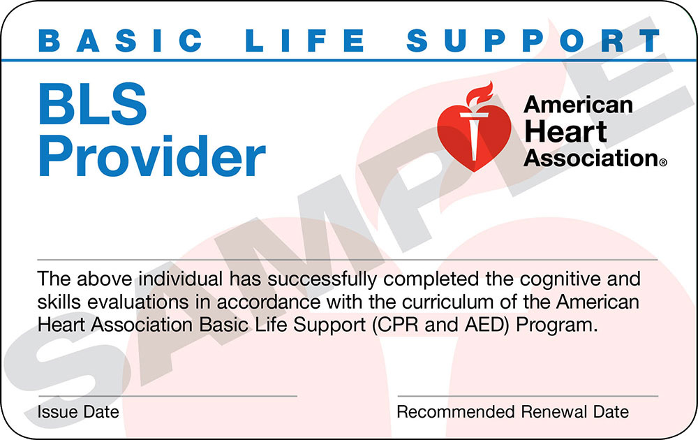 Basic Life Support Bls Training For Healthcare Providers Calendar