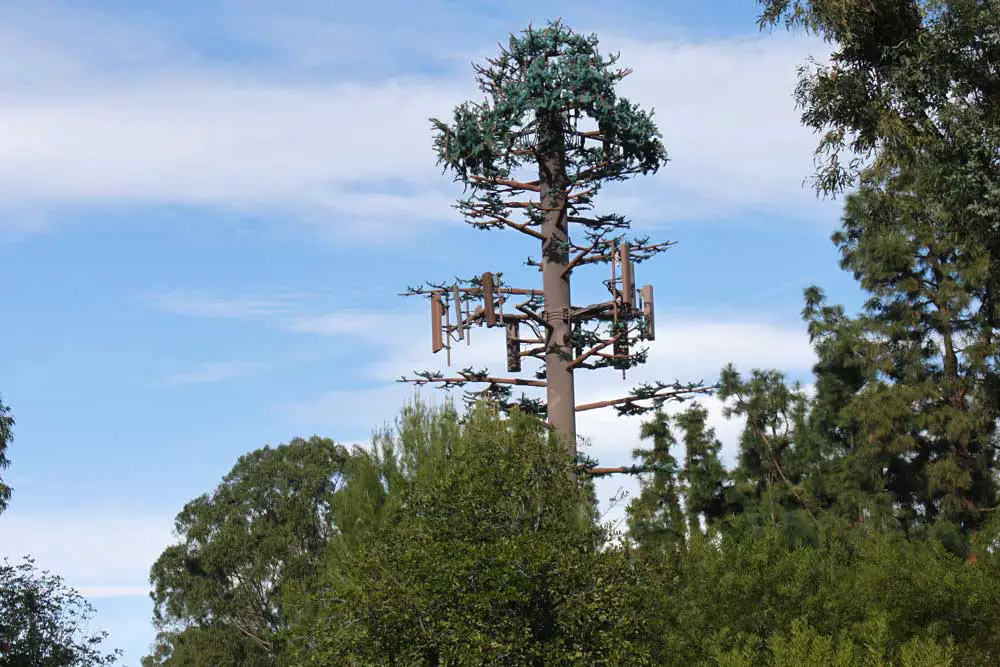 tree cell towers