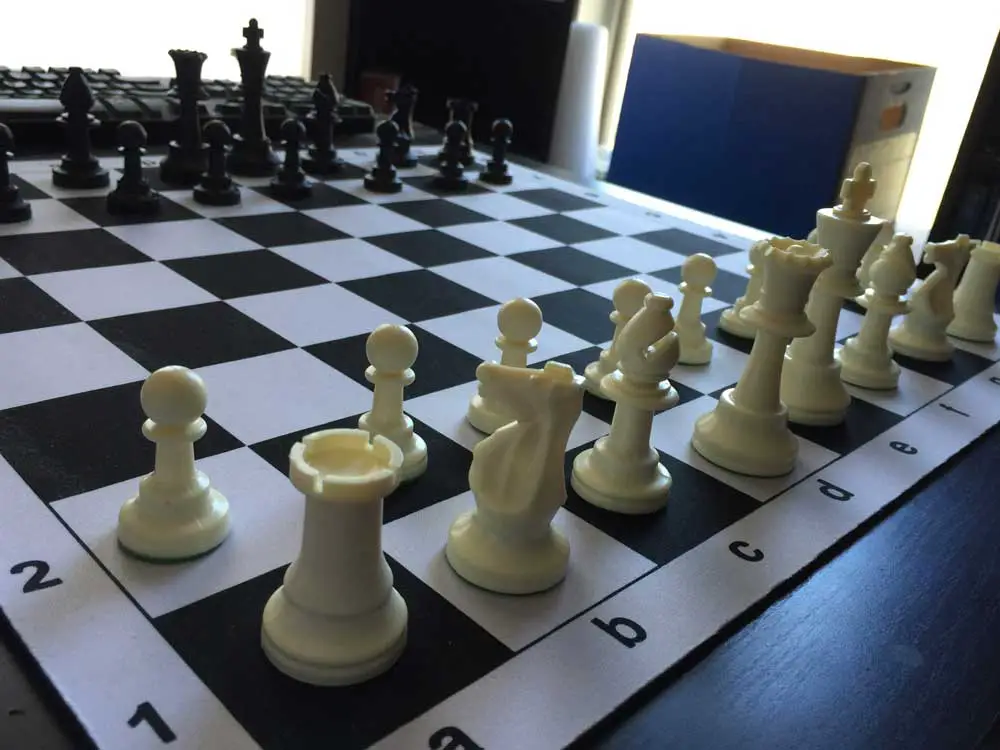 Ready for the Smith-Morra Gambit. (© FlaglerLive) 