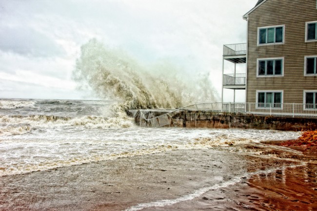 As of April 30, Citizens had nearly 1.3 million policies,  making it the state's largest property insurer, after an aggressive move to shift policy holders to the private sector.  (Jerry Angelica Photography)