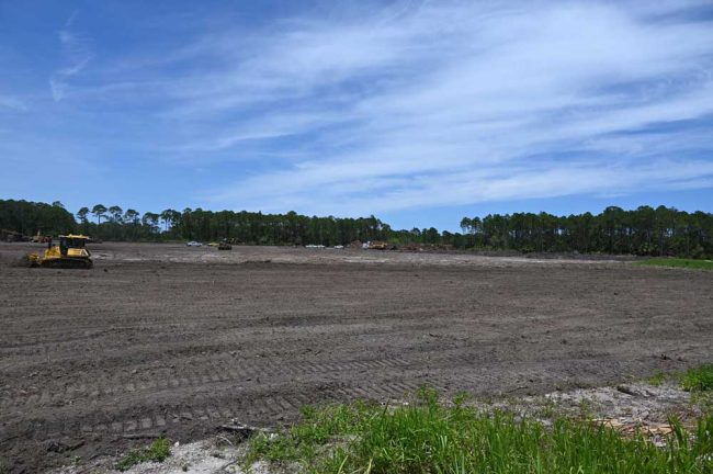 Vast acreage cleared for what is ironically called Sabel Preserve. (© FlaglerLive)