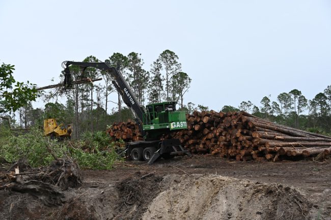 census-bureau-flagler-county-s-population-was-131-500-last-july-an