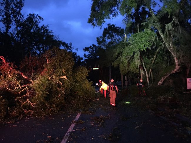 Palm Coast crews were joined by Flagler County crews to clear a large tree from blocking Colbert Lane at Palm Coast Parkway at dawn. (Cindi Lane/Palm Coast)