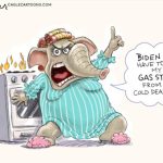 Gas Stove From My Cold Dead Hands by Ed Wexler, CagleCartoons.com