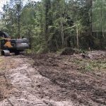 Commerce Parkway construction means cutting a wide swath through long-undisturbed forest, brush and wetlands south and east of Bunnell. (Bunnell)