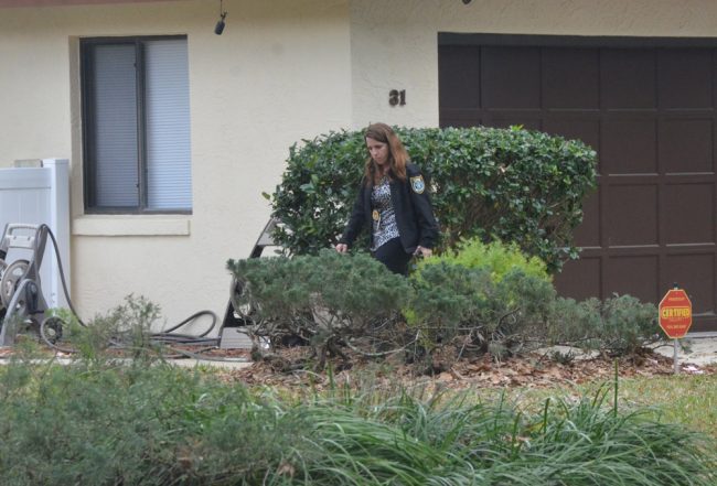 On the job: Annie Conrad, who has a special affinity for protecting animals, investigating a case involving the shooting death of a puppy in Palm Coast's W Section in early March 2016. (© FlaglerLive)