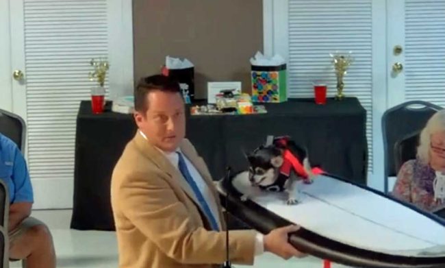 Commission Chairman Eric Cooley demonstrating a bit of dog surfing with his dog Wednesday before the city commission Thursday. (© FlaglerLive via Flagler Beach video)