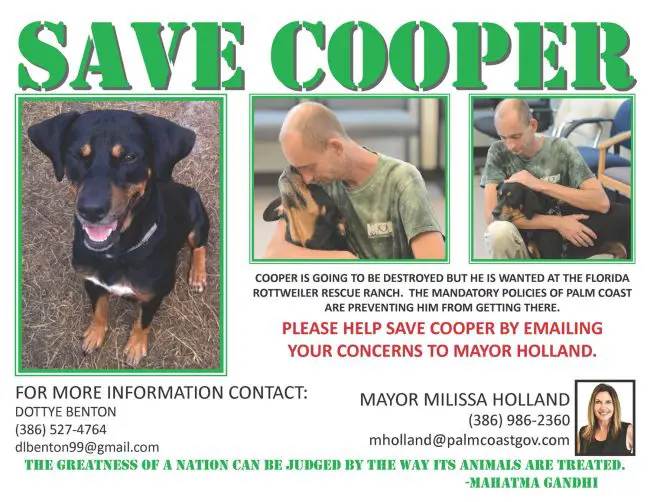 save cooper flyer