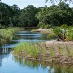 The District’s cost-share funding programs help communities complete water quality improvement projects, such as the Osprey Acres Stormwater Park in Indian River County. (SJRWMD)