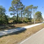 The view along Lakeview Boulevard at the north end of Palm Coast, and what used to be a golf course. Residents along Lakeview want it protected as is. The land belongs to a developer, who wants to build 39 houses there. Whose rights prevail? (Google)