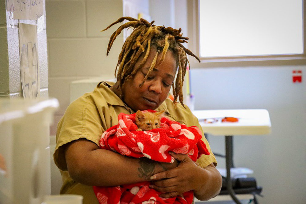 Fostering a kitty at the Flagler County jail. (FCSO)