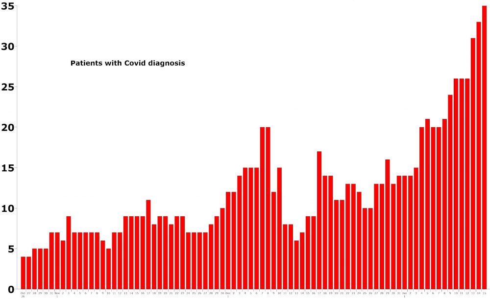 The daily count of patients hospitalized with a primary diagnosis of Covid-19 at AdventHealth Palm Coast since October, through today. Click on the graph for larger view. (© FlaglerLive)