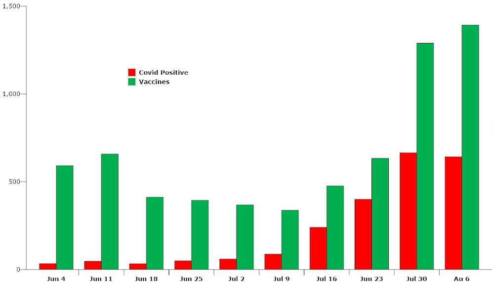 Flagler County residents have been getting the message: the red bars show the number of weekly covid-positive cases recorded, the green bars show the number of vaccine shots administered--numbers that had been steadily declining until mid-July. (© FlaglerLive)