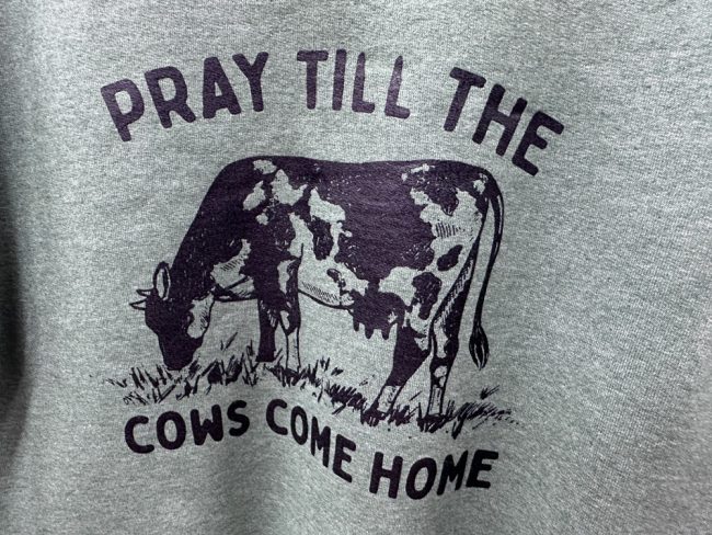 pray till cows come home cows 