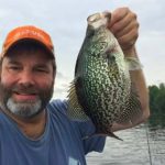 The black crappie is popular sport fishing prey, (FWC)