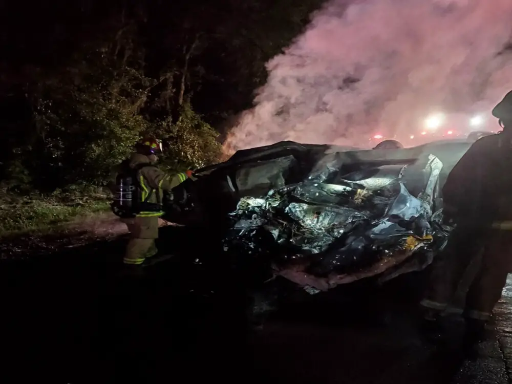 Fire engulfed both vehicles before firefighters were able to extinguish the flames. (FCSO)