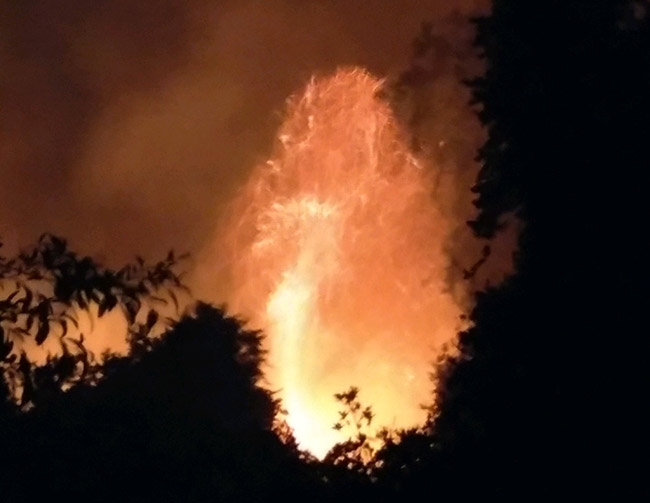 The Crescent Lake fire Thursday night. (Florida Forest Service)