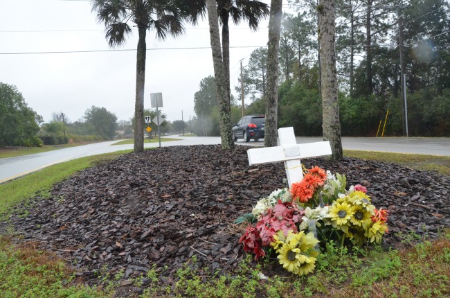 Saturday's fatality is the second in 18 months on that stretch of Whiteview Parkway. Pedro Riera was killed at the intersection of Rolling Sands and Whiteview in August 2012. (c FlaglerLive)