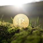 It doesn't grow on trees. (Wikimedia Commons)