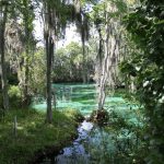 Crystal River Three Sisters Spring. (FWC)