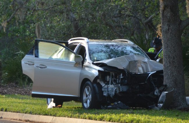 The Lexus struck an oak head on. Click on the image for larger view. (c FlaglerLive)