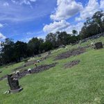 Wild hogs' damage at Craig-Flagler Palms Cemetery off Old Kings Road. (Craig-Flagler Palms for FlaglerLive)