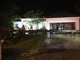 A tree down at an unidentified address in Palm Coast. (Palm Coast/Facebook)