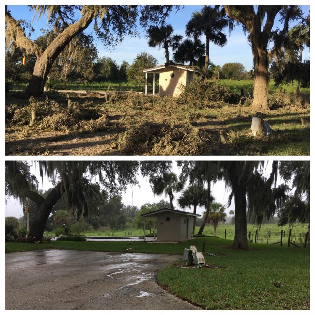 Palm Coast damage hurricane matthew