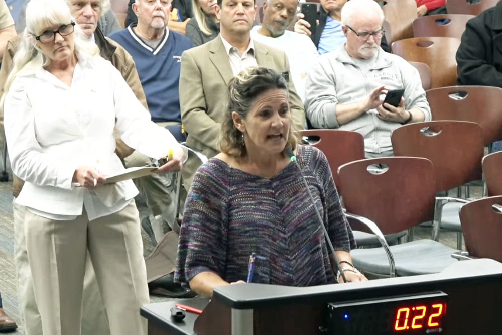 Darlene Shelley addressing the Palm Coast City Council in opposition to the expansion of an E-Section housing development to 71 homes at a Feb. 17, 2026 meeting. (© FlaglerLive via YouTube)