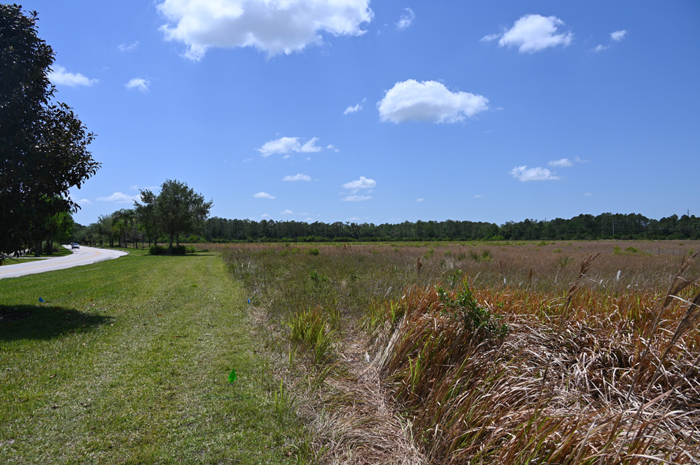 Town Center Boulevard is to the left. The 37 acres DC Blox acquired to build a data center is to the right. (© FlaglerLive)