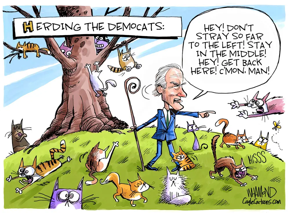  Biden Herds the Democrats by Dave Whamond, Canada, PoliticalCartoons.com