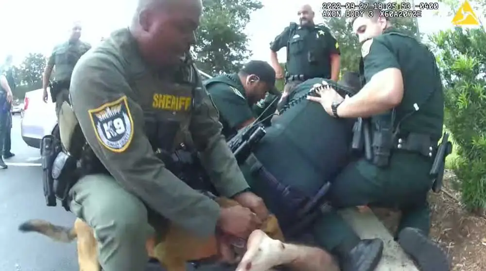 Five deputies were attempting to restrain Brandon Leohner when deputy Towns released his dog, which bit down on Loehner's calf for 16 seconds, gashing his calf. 