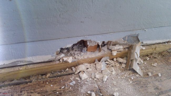 A sample of the 'destructive' inspection at the restaurant. Click on the image for larger view. (Flagler County)